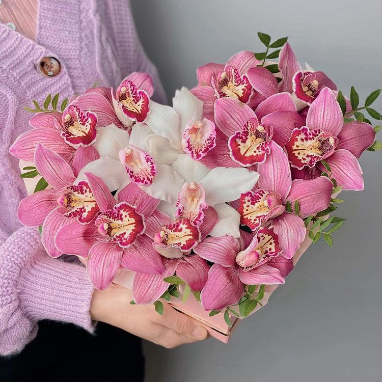 Купить орхидеи в Молдове